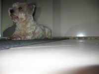 /album/photos/pour-site-2-4-jpg/